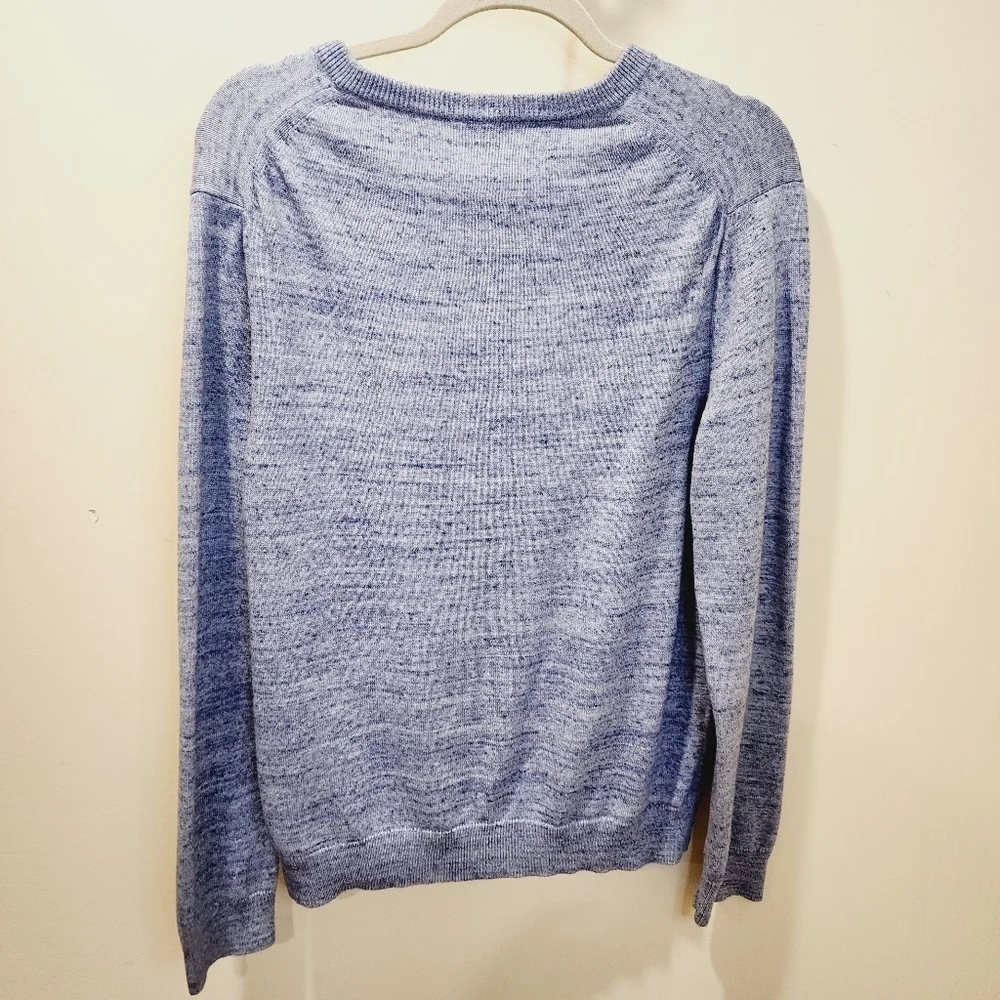 Express Men's Cotton V Neck Blue Lion Sweater size M